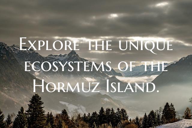 Explore the unique ecosystems of the Hormuz Island...
